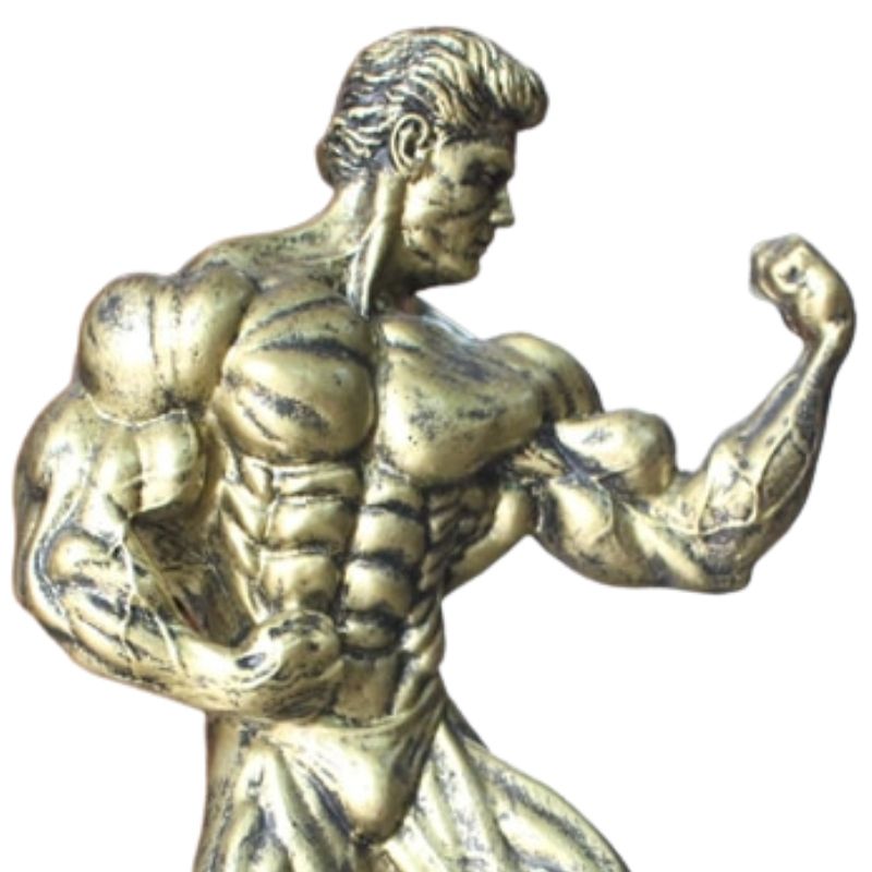 Statue Homme Musculation I Le Monde Des Statues 