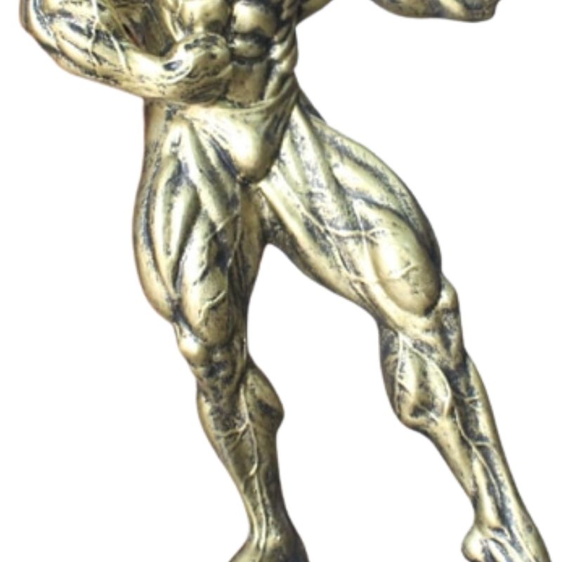 Statue Homme Musculation I Le Monde Des Statues 